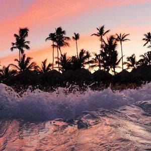 Meet your Posher, Roxana